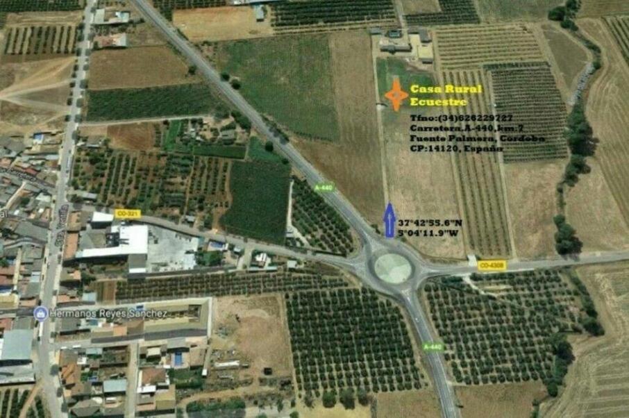 Casa Ecuestre Carmen Martinez Fuente Palmera Exterior foto